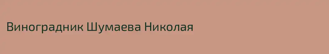 Виноградник Шумаева Николая